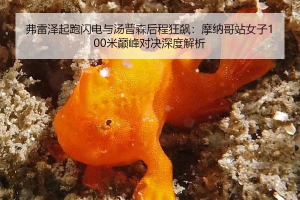 弗雷泽起跑闪电与汤普森后程狂飙：摩纳哥站女子100米巅峰对决深度解析