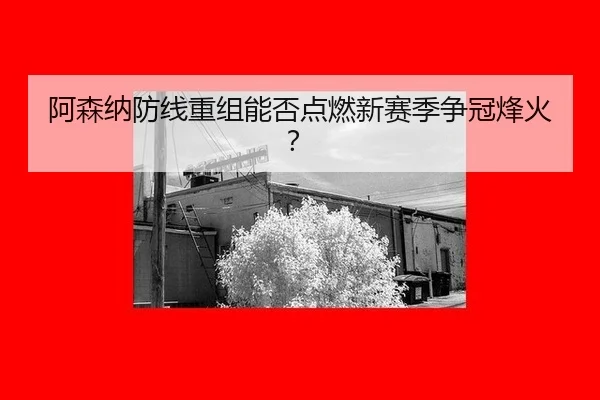 a-sen-na-fang-xian-chong-zu-neng-fou-dian-ran-xin-sai-ji-zheng-guan-feng-huo-3-465.jpg